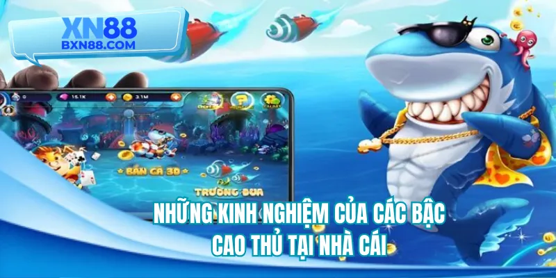 Những kinh nghiệm của các bậc cao thủ ở nhà cái