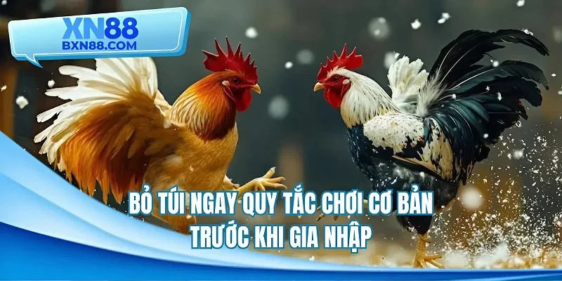 Bỏ túi ngay quy tắc chơi cơ bản trước khi gia nhập