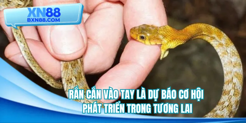 Rắn cắn vào tay là dự báo cơ hội phát triển trong tương lai
