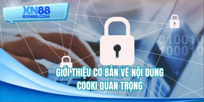 Giới thiệu cơ bản về nội dung Cookie quan trọng