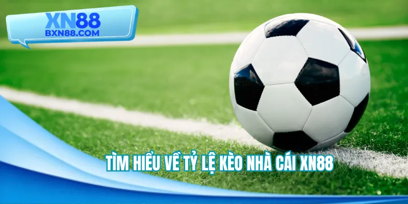 Tỷ lệ kèo nhà cái XN88 nhằm dự đoán kết quả đặt cược